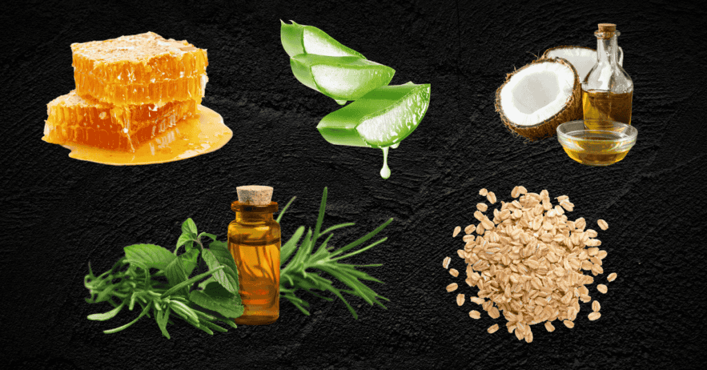 Ingredients for Your Skincare Recipes for Natural Skincare